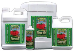 FoxFarm Grow Big Quart