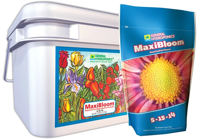 MaxiBloom 3 MaxiBloom