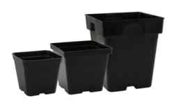 Black Square Pot 5.25in X 5.25in X 5.25in