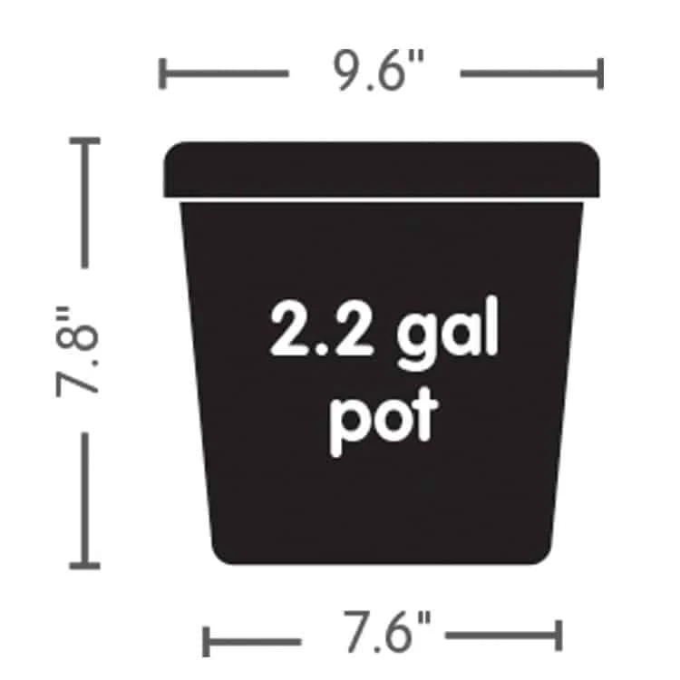AutoPot Auto 8 With 2.2gal Pots 4 AutoPot Auto 8 With 2.2gal Pots - Image 2