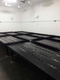 4ft X 4ft Standard Rolling Bench System -Gardening Care Shop 22405954 1682151531858105 2810610264912381945 n