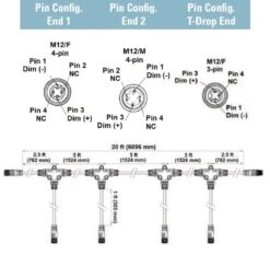 Fluence M12 Flex Dimming 4-T Cable, M12 Threaded Connectors - 20 Feet