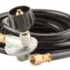 Titan Controls Ares Series Replacement LP Hose & Regulator -Gardening Care Shop 702490 01