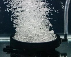 EcoPlus HydroVescent Air Disc 6 In -Gardening Care Shop 728417 02