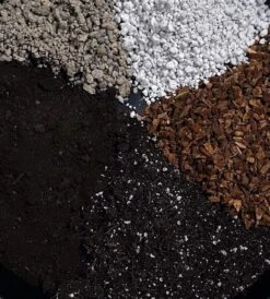 FINE Aroid Mix - 1/2 Gallon -Gardening Care Shop Fine Aroid Closeup Shot Aerial Shot 4