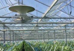 Vostermans V-Flo Vertical Circulation Fan 16 Inch 3200 CFM Variable Speed - 230/460V - 3 Phase -Gardening Care Shop HGC737504 03