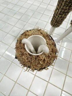 Self Watering Moss Pole W/Stabilizing Base - 36" -Gardening Care Shop Moss Pole Top