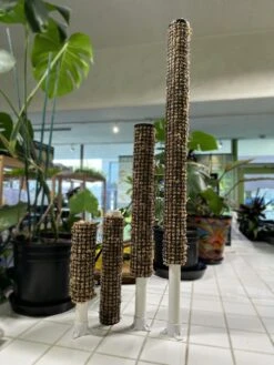 Self Watering Moss Pole W/Stabilizing Base - 12" 13 Self Watering Moss Pole W/Stabilizing Base - 12" -Gardening Care Shop Moss Poles Front Shot 1