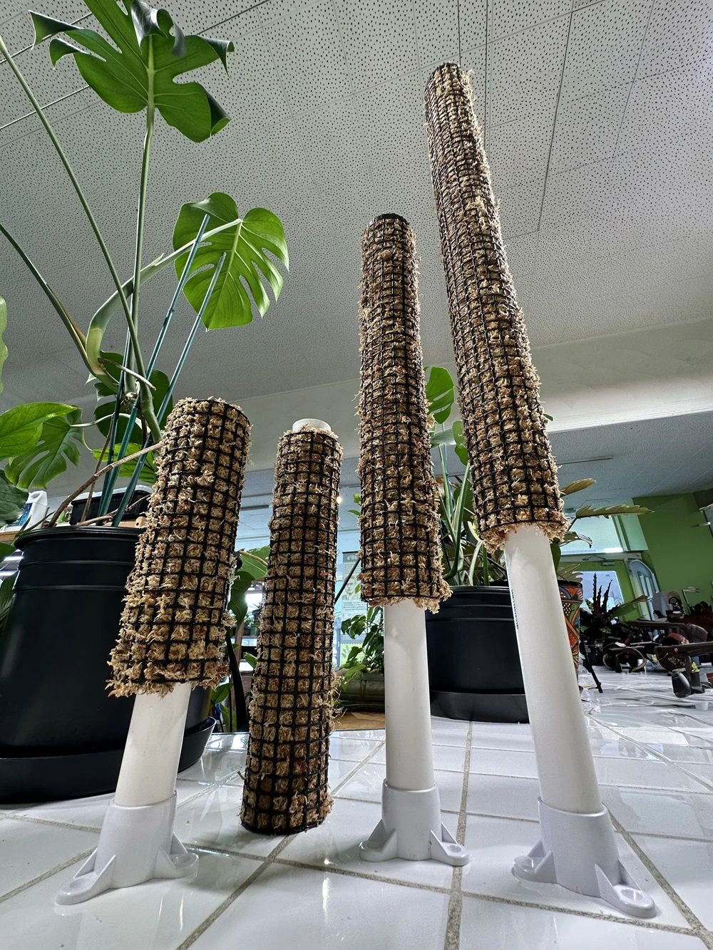 Self Watering Moss Pole W/Stabilizing Base - 12" 3 Self Watering Moss Pole W/Stabilizing Base - 12"