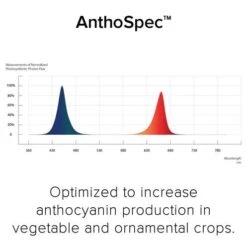 Fluence RAY44 LED Grow Light Bar 7 Fluence RAY44 LED Grow Light Bar -Gardening Care Shop anthospec mouseover