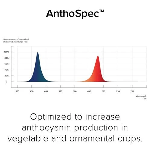 Fluence RAY44 LED Grow Light Bar 5 Fluence RAY44 LED Grow Light Bar - Image 3