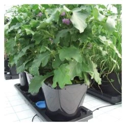 AutoPot Auto 3 XL 6.6gal Pots -Gardening Care Shop auto3 xl plantasia web 4