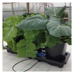 AutoPot Auto 3 XL 6.6gal Pots -Gardening Care Shop auto3 xl plantasia web 6