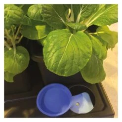 AutoPot Auto 8 With 2.2gal Pots 14 AutoPot Auto 8 With 2.2gal Pots -Gardening Care Shop auto8 aquavalve access open web