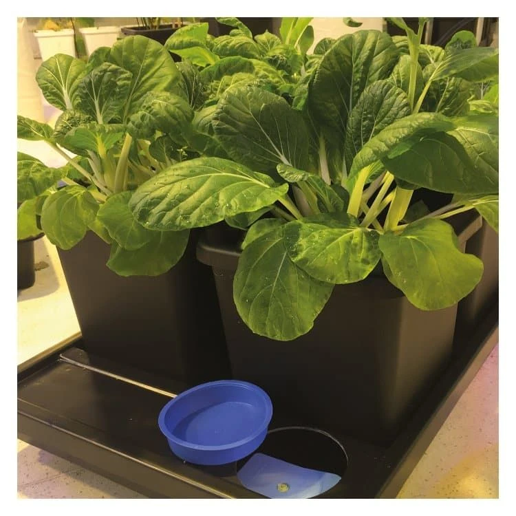 AutoPot Auto 8 With 2.2gal Pots 9 AutoPot Auto 8 With 2.2gal Pots - Image 7