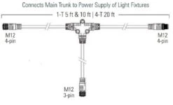 Fluence M12 Flex Dimming 1-T Cable, M12 Threaded Connectors - 5 Feet