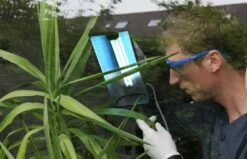 Clean Light Hobby Unit - UV For Powdery Mildew Control -Gardening Care Shop cleanlight 22