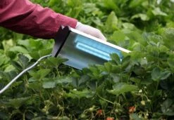 Clean Light Hobby Unit - UV For Powdery Mildew Control -Gardening Care Shop cleanlight 5