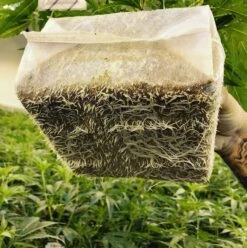 Char Coir Coco Cube - Compressed / 1 Gallon -Gardening Care Shop coco cube 6