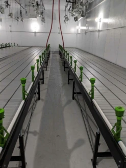 Continuous / Custom Tray Rolling Bench System - Per Square Foot -Gardening Care Shop custom rolling bench 6