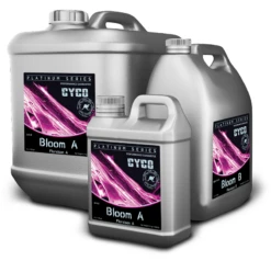 CYCO Bloom A