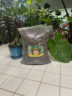 FINE Aroid Mix - 2 Gallon