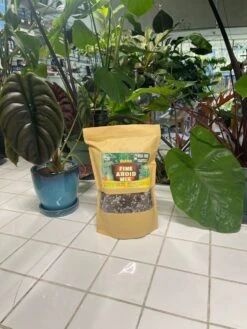 FINE Aroid Mix - Quart