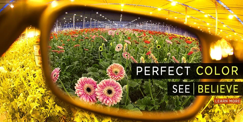 Method Seven Rendition Camera Photo Filter - HPS 5 Method Seven Rendition Camera Photo Filter - HPS - Image 3