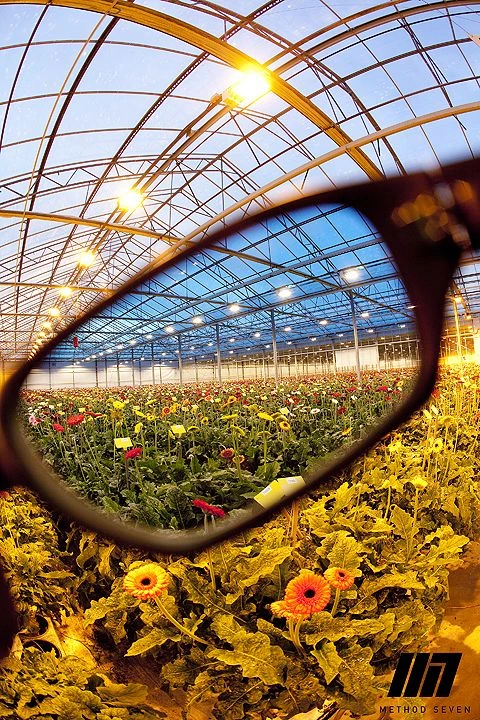 Method Seven Rendition Camera Photo Filter - HPS 7 Method Seven Rendition Camera Photo Filter - HPS - Image 5