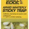 Grower's Edge Aphid Whitefly Sticky Trap 5/Pack -Gardening Care Shop hgc704192 01