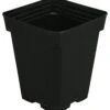 Black Square Pot 5.375in X 5.375in X 6.5in