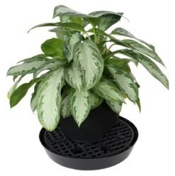 Gro Pro NX Level Pot Elevator - 18.5 In -Gardening Care Shop hgc725679 03