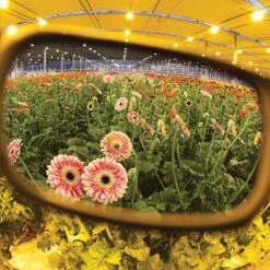 Method Seven Catalyst HPS Phone & Tablet Camera Filter 13 Method Seven Catalyst HPS Phone & Tablet Camera Filter -Gardening Care Shop hps2 02618.1612921462