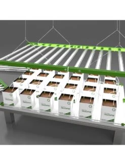 FloraFlex LED Grow Light - 650 - 8 Bar 8 FloraFlex LED Grow Light - 650 - 8 Bar -Gardening Care Shop led light 600 use 1 2