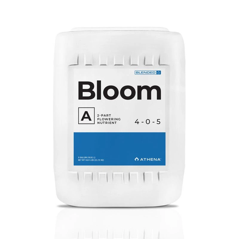 Athena Blended Bloom A 3 Athena Blended Bloom A