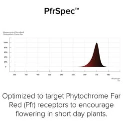 Fluence RAY22 LED Grow Light Bar -Gardening Care Shop pfrspec mouseover