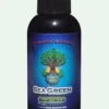 Sea Green - 2 Ounce -Gardening Care Shop sea green 2 oz