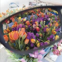 Method Seven Resistance 2 Sun Polarized Glasses - Outdoor -Gardening Care Shop sunp 49122.1640919668