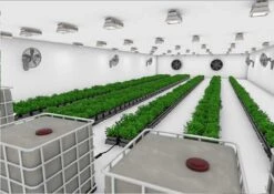 AutoPot Easy2grow Complete System - 60 Pot 8 AutoPot Easy2grow Complete System - 60 Pot -Gardening Care Shop veg phase ii option 2 high res 5